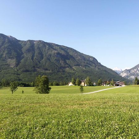 Haus Stangl Appartement Bad Aussee Buitenkant foto